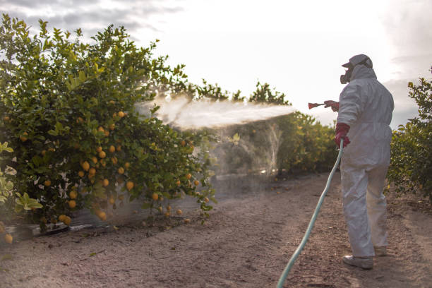 Best Wildlife Control Services  in El Campo, TX