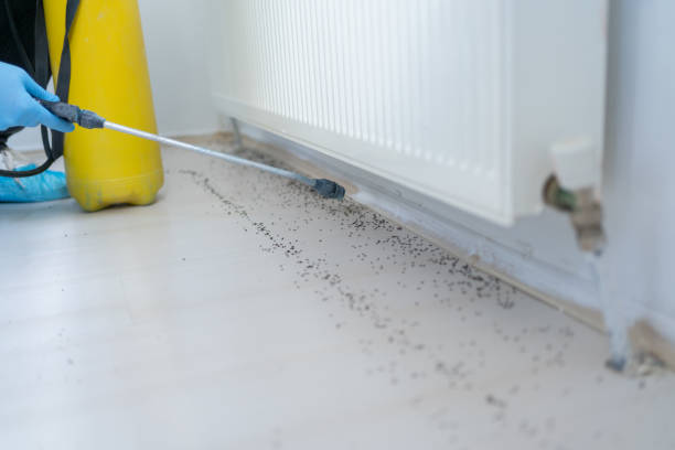 Best Commercial Pest Control Services  in El Campo, TX